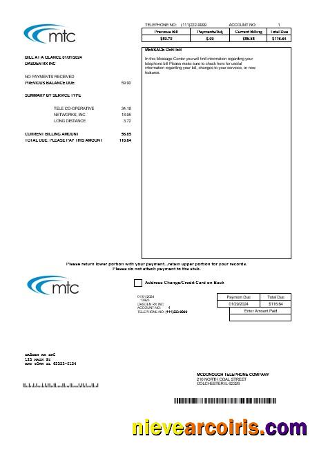 USA Illinois MTC business utility bill